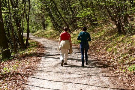 Away promenade migratory path photo