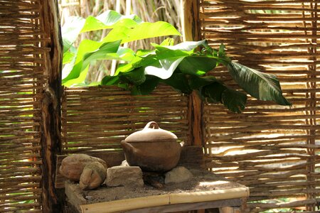 Cottage plant cooking