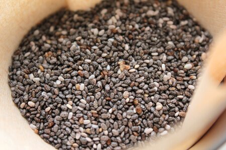 Odd nigerian seeds seed sage