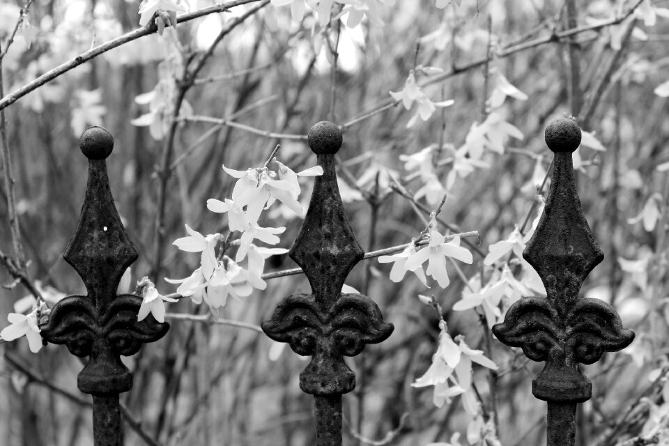 Metal old wrought iron