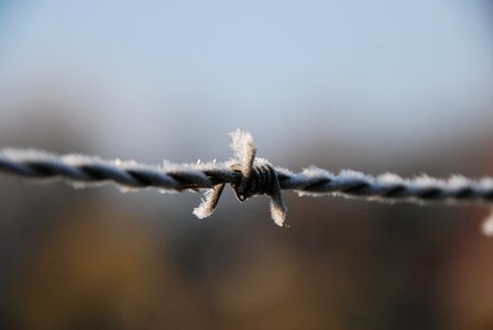 Ripe freeze cold