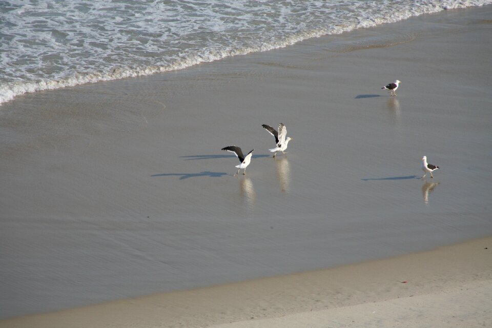 Salt water brazil sol