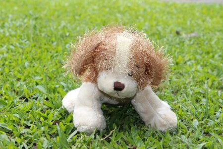 Plush dog grass