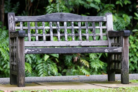 Singapore botanic garden outdoor photo