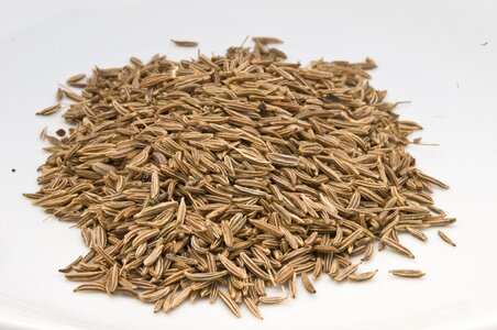 Herb spicy healthy