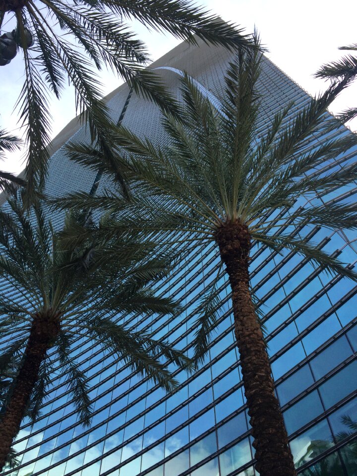 Modern facade vitreous
