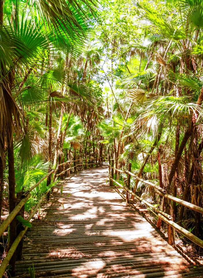 Path central america