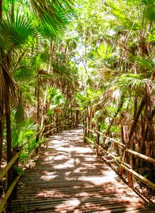 Path central america
