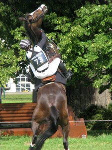 Equestrian nature horseback photo