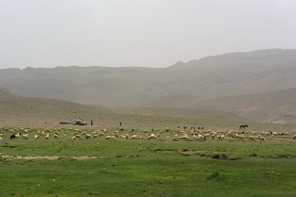 Morrocco desert nature