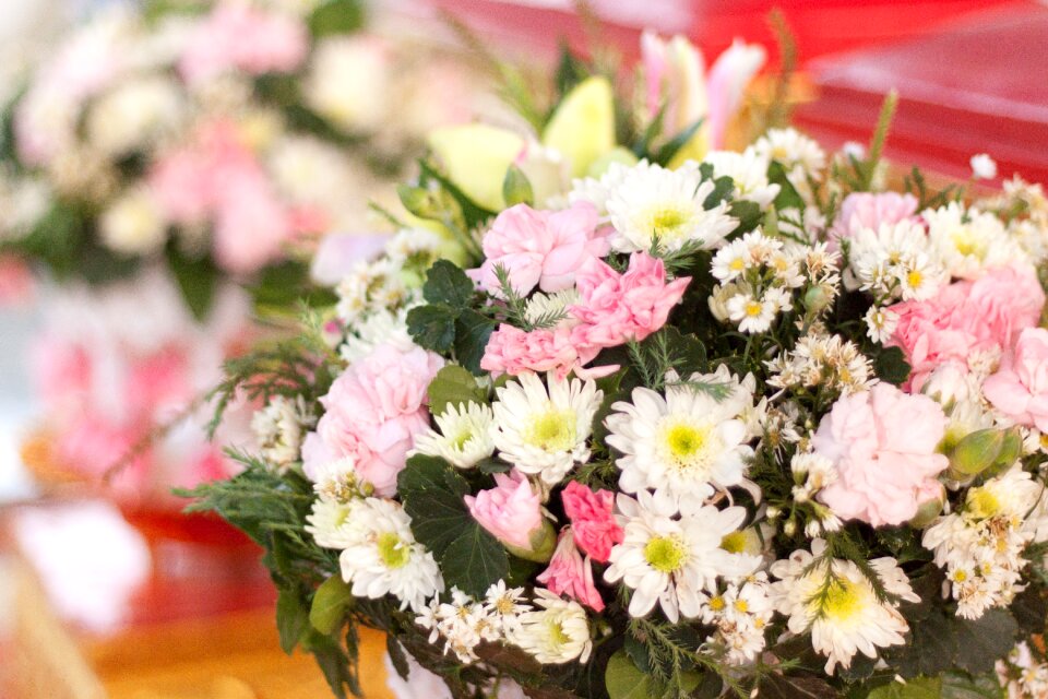 White pink bright