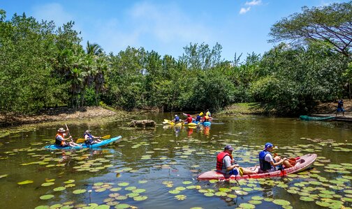 People person nature travel