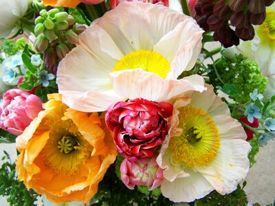 Bunch of flowers mixed flower cut flower