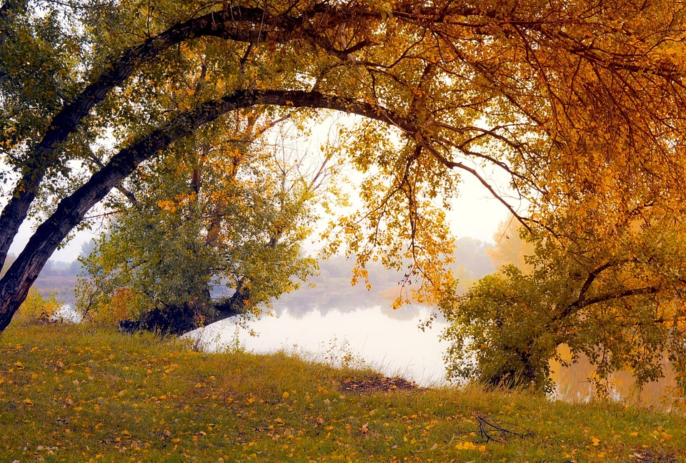 Agriculture outdoors environment