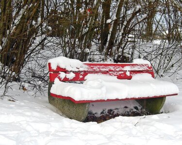 Winter magic snowy wintry photo