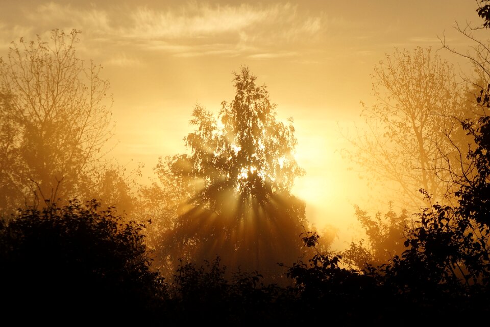 Nature in the morning the sun