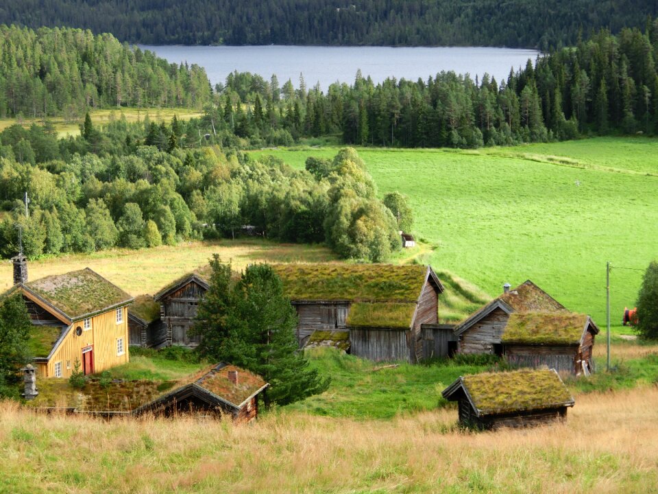Norway houses landscape