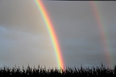 Rain rainbow dark photo