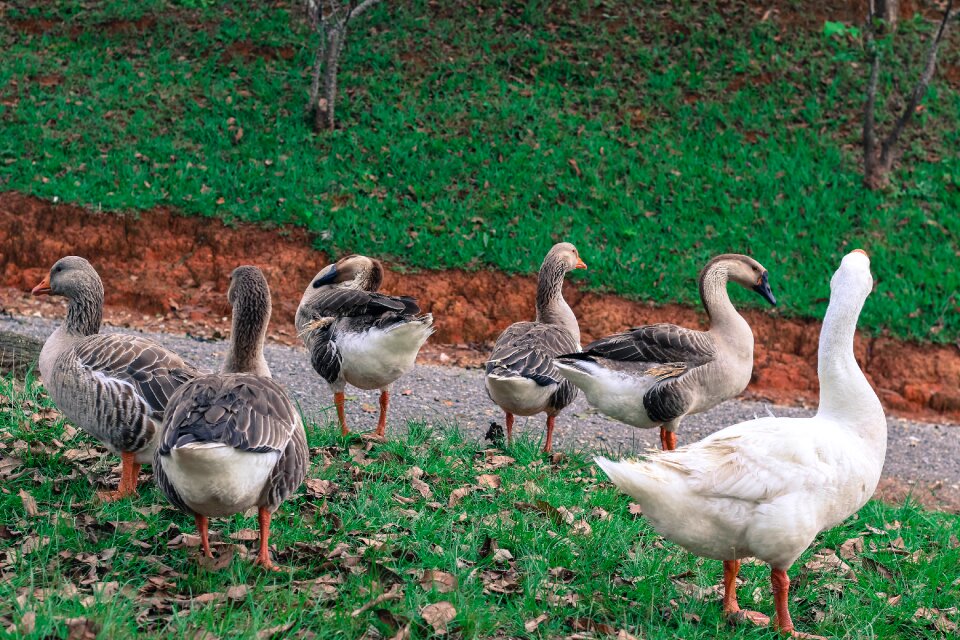 Sustainability nature landscapes