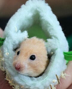 Hamster bounty sleeping bag photo