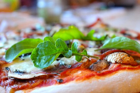 Gastronomy flat food
