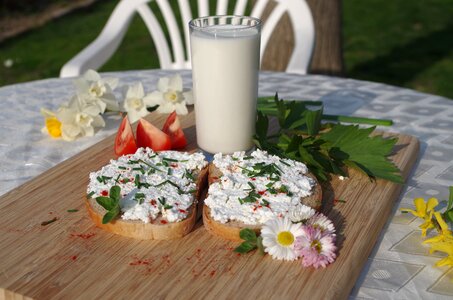 Chives milk sheep