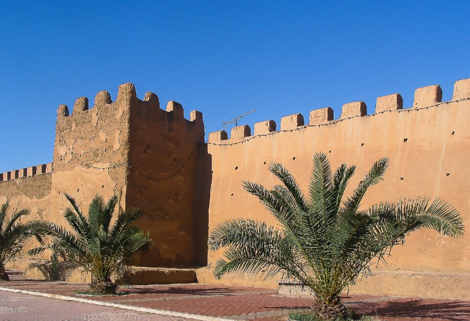 Ramparts wall palm trees