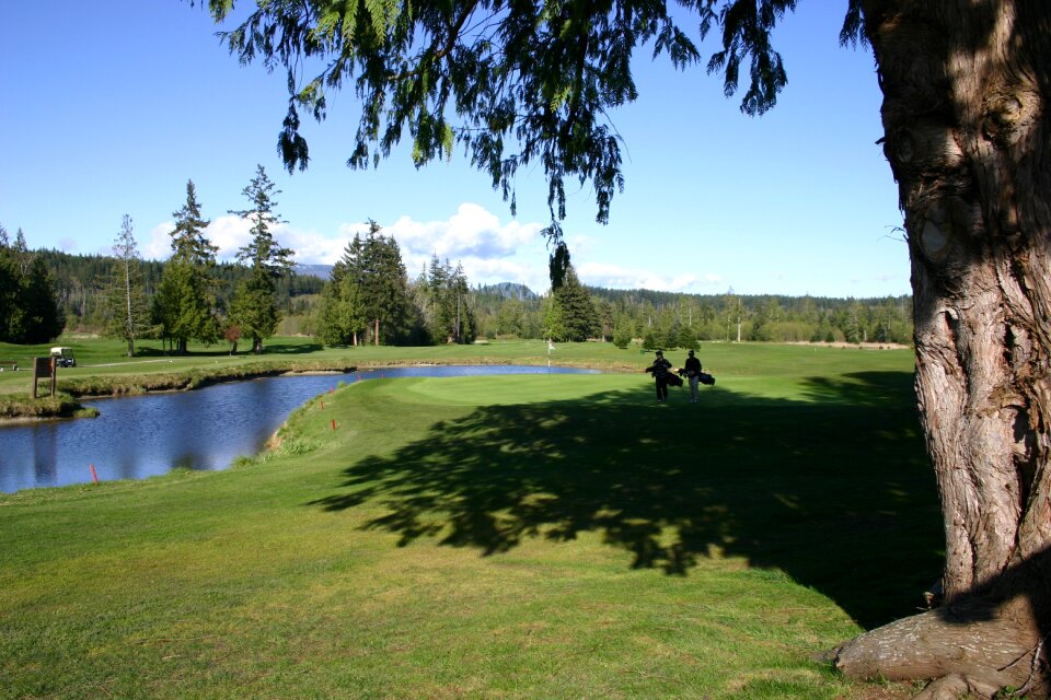 Course grass green