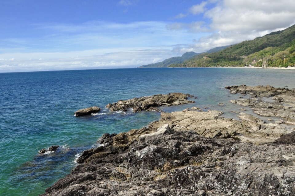 Summer ocean nature