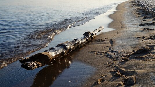 The waves sand log photo