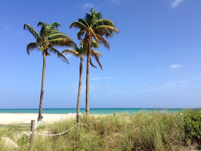 Ocean sand beach