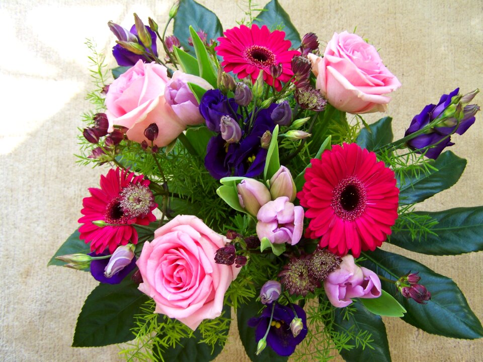 Flower bouquet color cut flowers