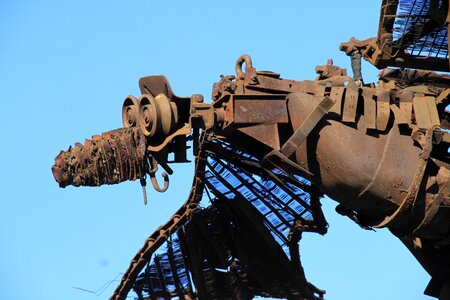 Bird iron rust
