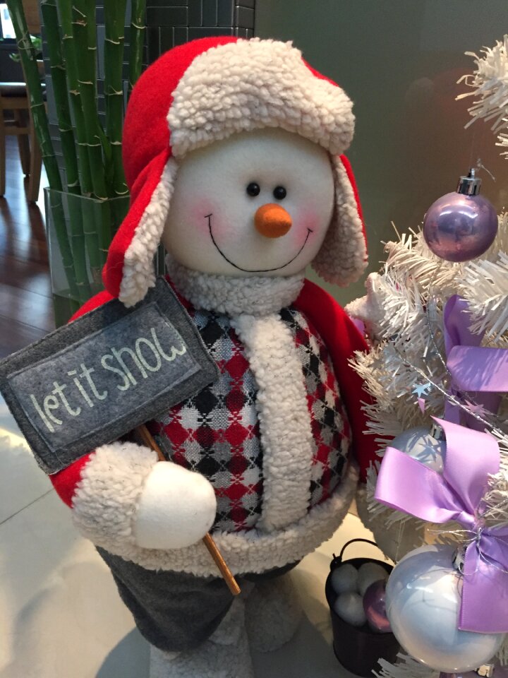 Christmas cap snowman