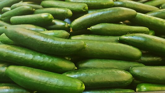 Gourd food grocery