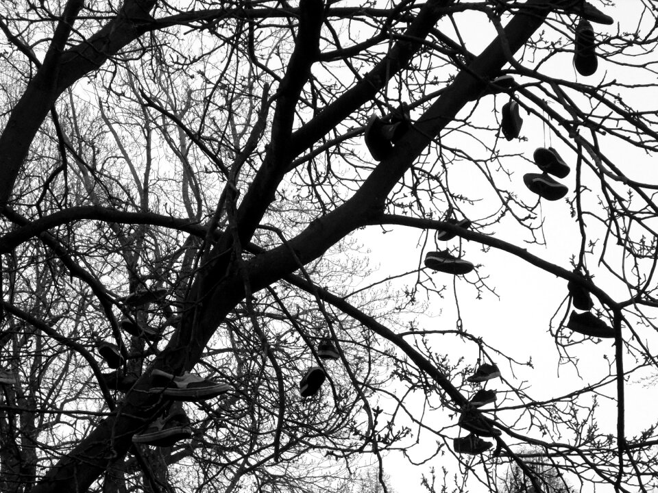 Custom black and white park