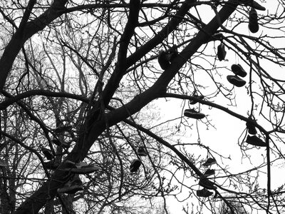 Custom black and white park
