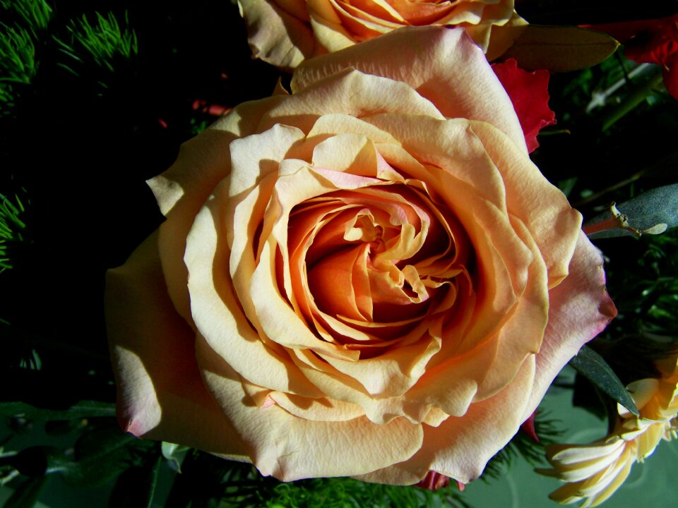 Bunch of flowers rose cut flower