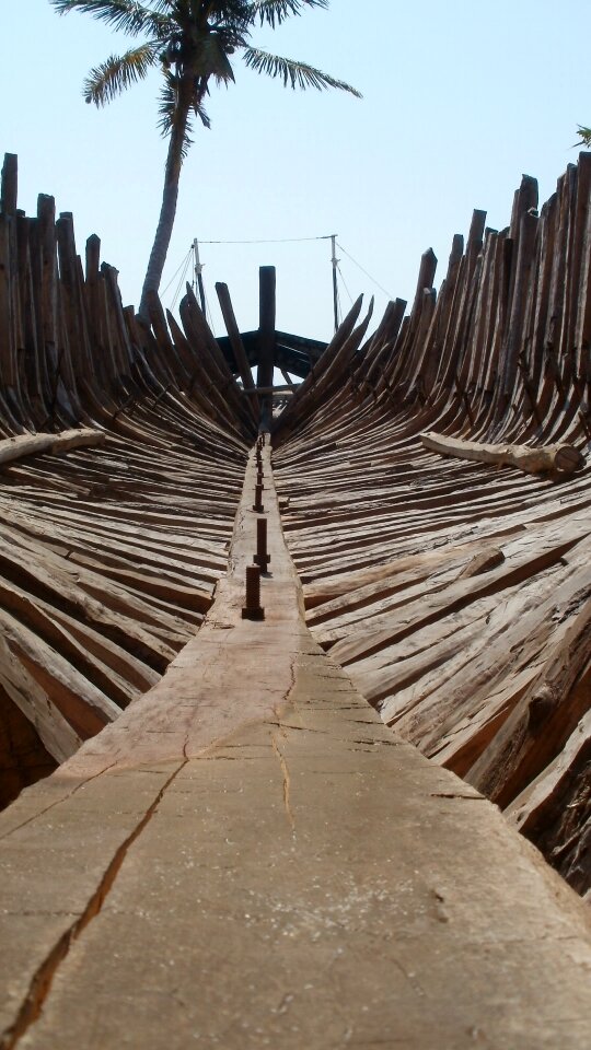 Wood old carcass