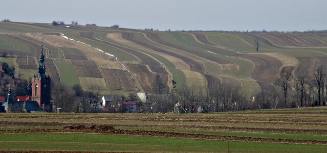 Agriculture poland the cultivation of photo