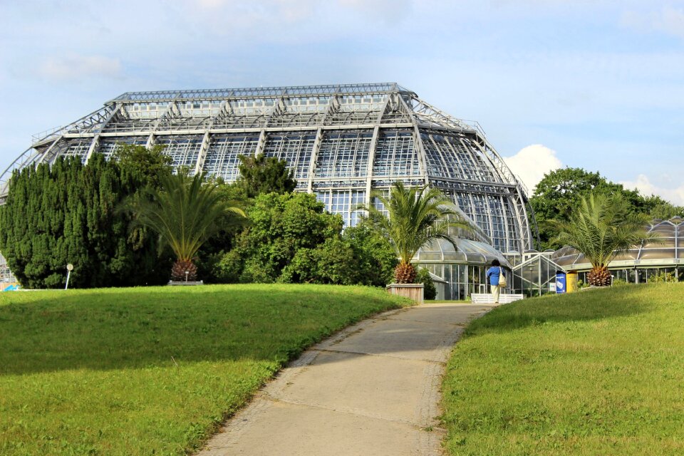 Palm house botanical garden berlin photo