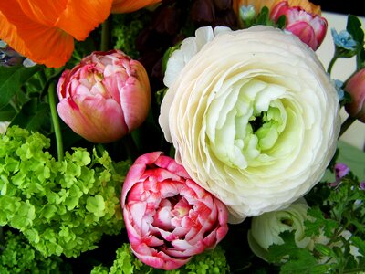 Flower bouquet color cut flowers