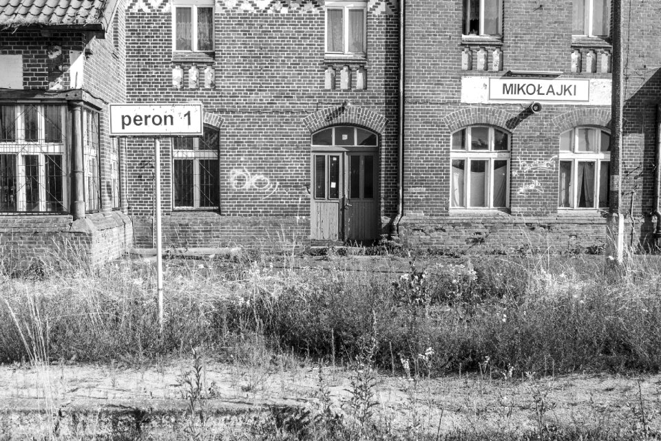 Old black and white photo architecture