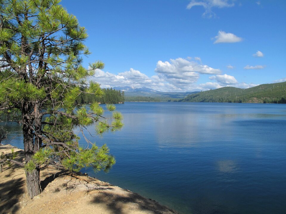 Wilderness landscape forest
