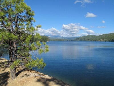 Wilderness landscape forest photo