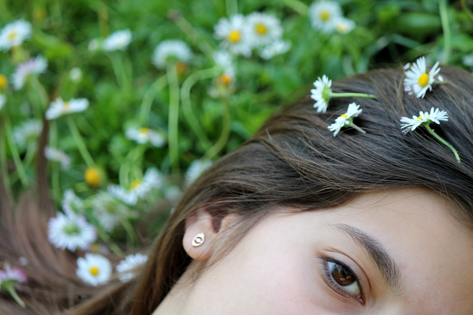 Flowers prato nature