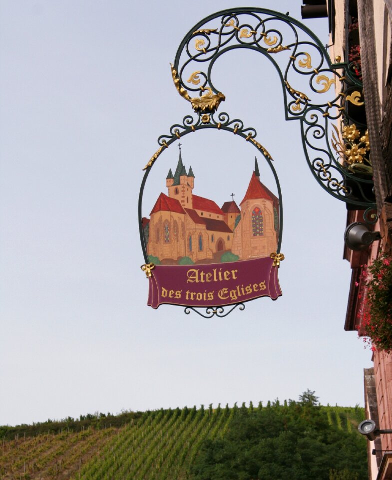 Grape vine winegrower