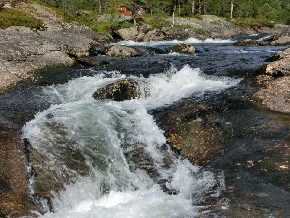 North norway wild