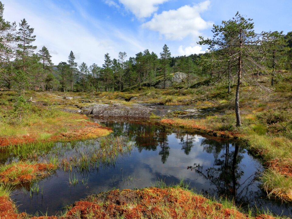 Lake peaceful mirroring