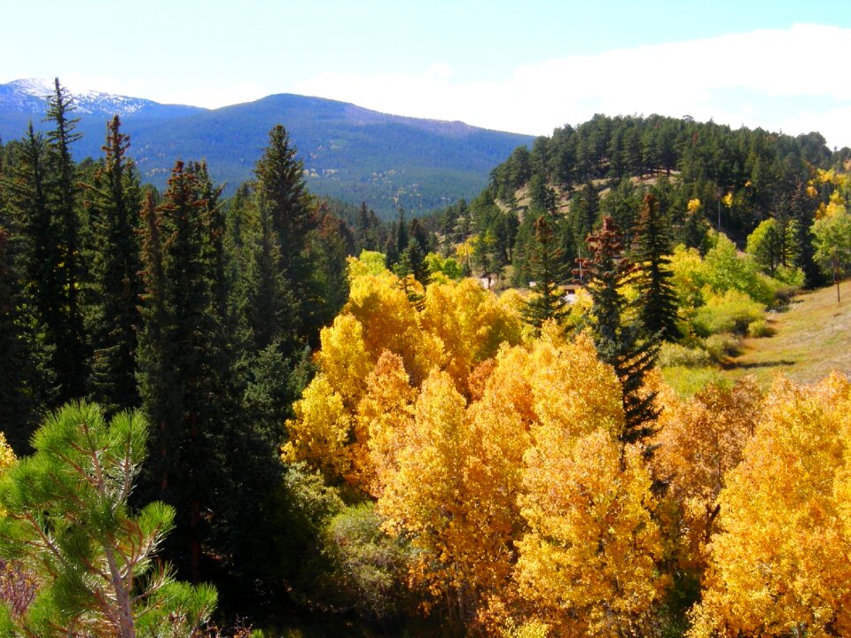 Nature landscape scenery